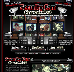 Security Cam Chronicles